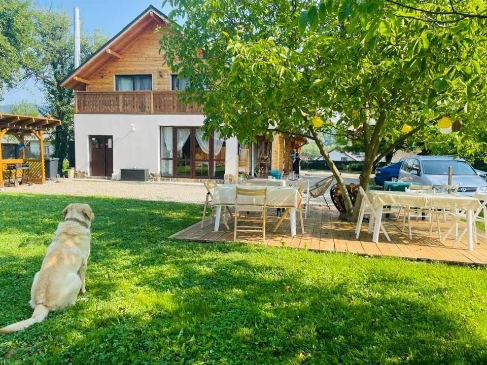 Gradina Lu' Ion "A Home Away From Home" (Adults Only) Вишово-Вижнє Екстер'єр фото
