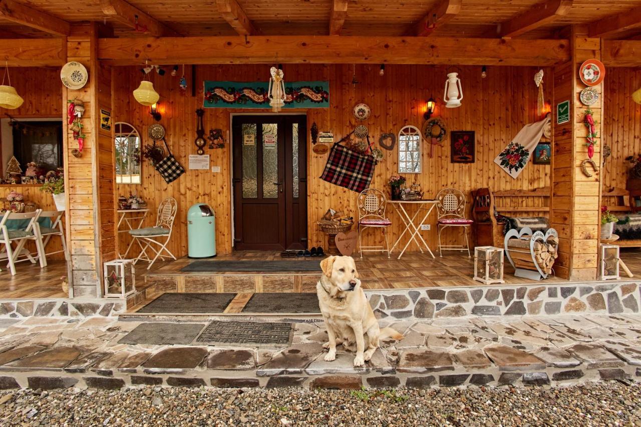 Gradina Lu' Ion "A Home Away From Home" (Adults Only) Вишово-Вижнє Екстер'єр фото