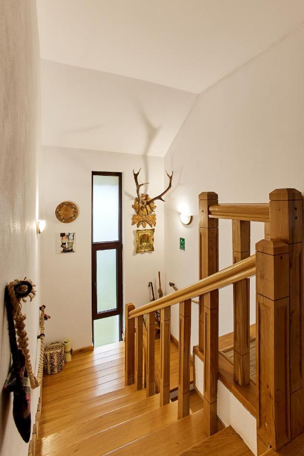 Gradina Lu' Ion "A Home Away From Home" (Adults Only) Вишово-Вижнє Екстер'єр фото