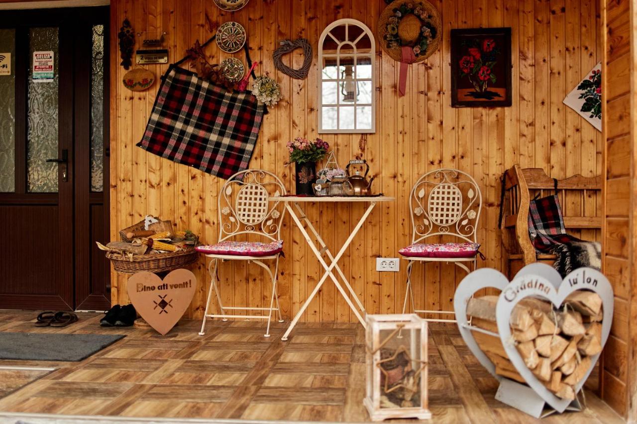 Gradina Lu' Ion "A Home Away From Home" (Adults Only) Вишово-Вижнє Екстер'єр фото